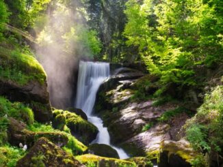 kleiner Wasserfall im Schwarzwald