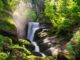 kleiner Wasserfall im Schwarzwald